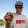 image:imageRapala Countdown 716 Oz Fishing LuresFiretiger