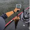 image:imageRapala Touch Screen Tourney Scale 15 lb Digital Fishing Scale with Memory Storage WaterResistant Design and Builtin FishFriendly Gripper Includes 8Piece Culling SystemFishing Hook