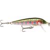 Silver Mackerel