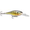 Bluegill